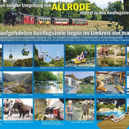 Ferienanlage Harzfreunde Allrode Exteriér fotografie